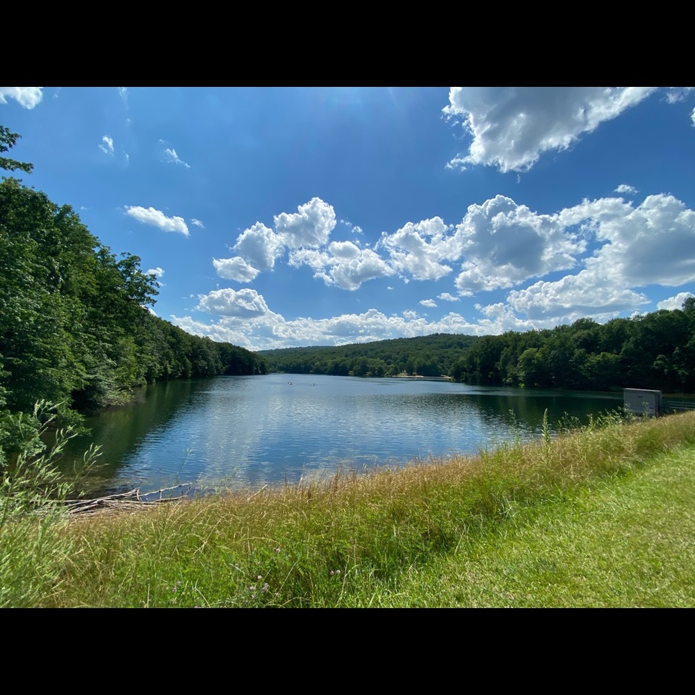 Meet your Posher, Sapna